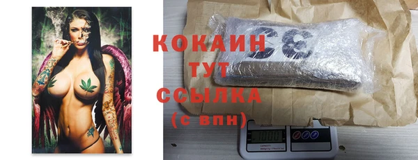 кокс Алексин