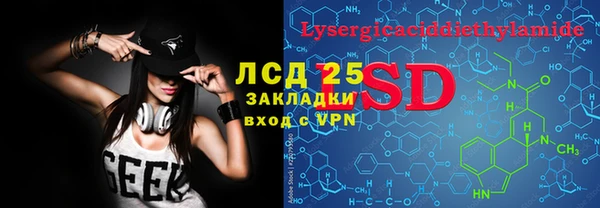 PSILOCYBIN Алексеевка