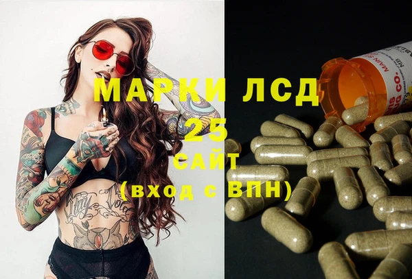 PSILOCYBIN Алексеевка