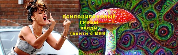 PSILOCYBIN Алексеевка