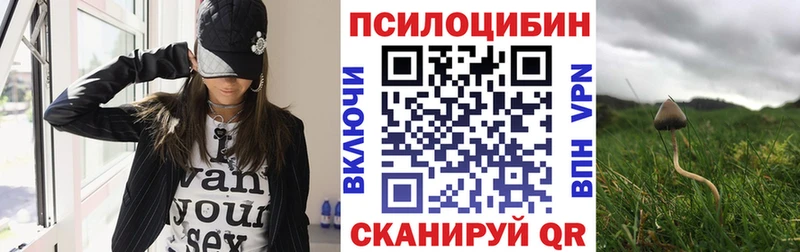 где можно купить наркотик Билибино Галлюциногенные грибы Cubensis
